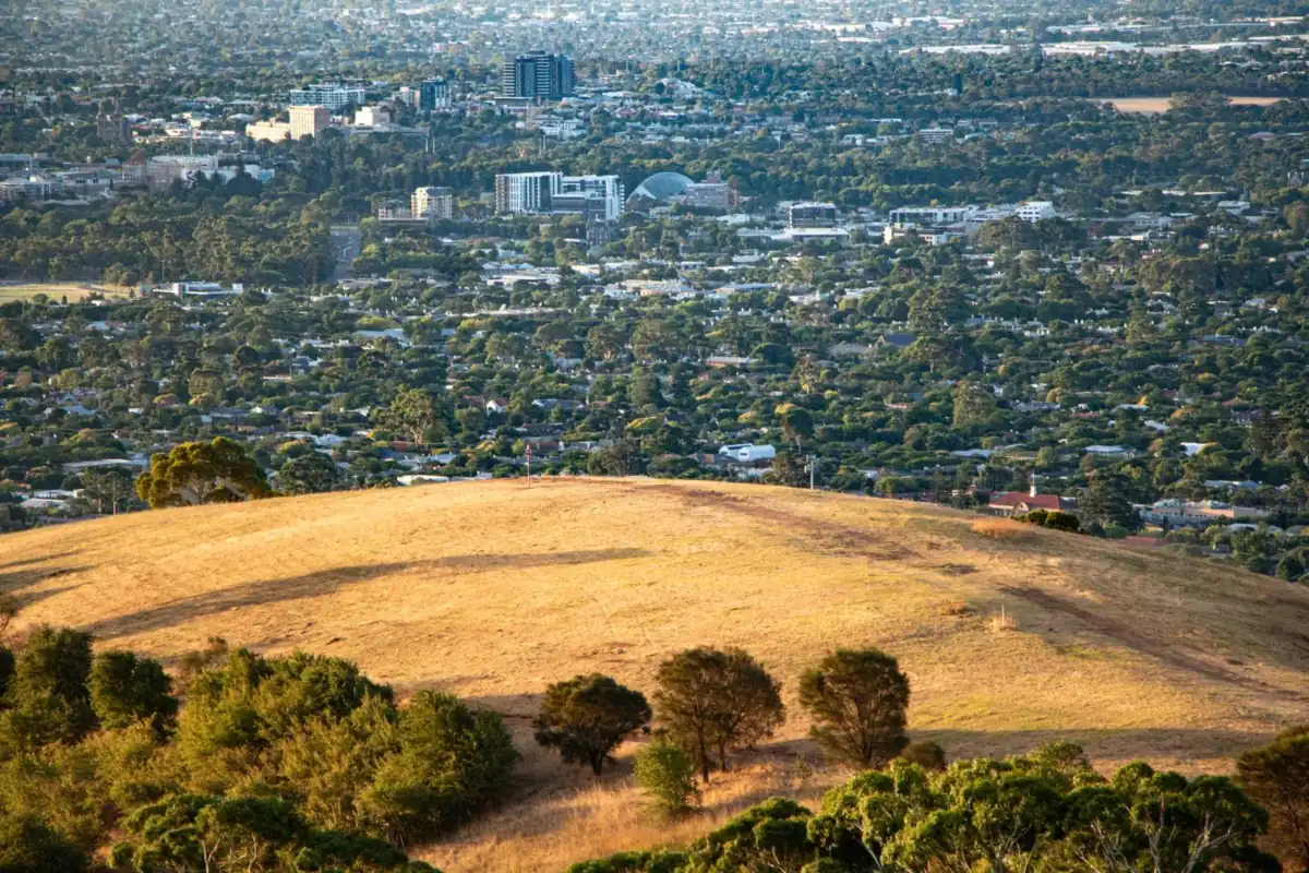 Adelaide seen from the hills, with dry grass in the foreground